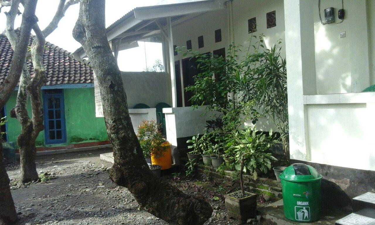 Pedek * Praya