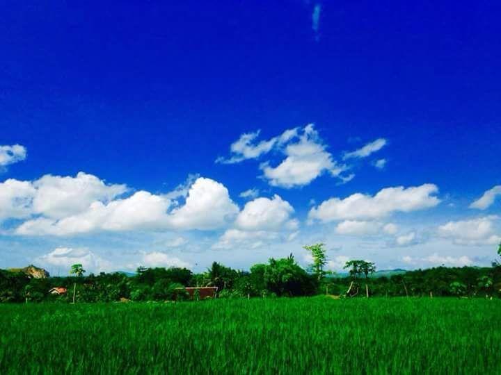 Pedek Homestay Praya